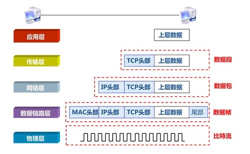 网络工程中的数据封装与传输